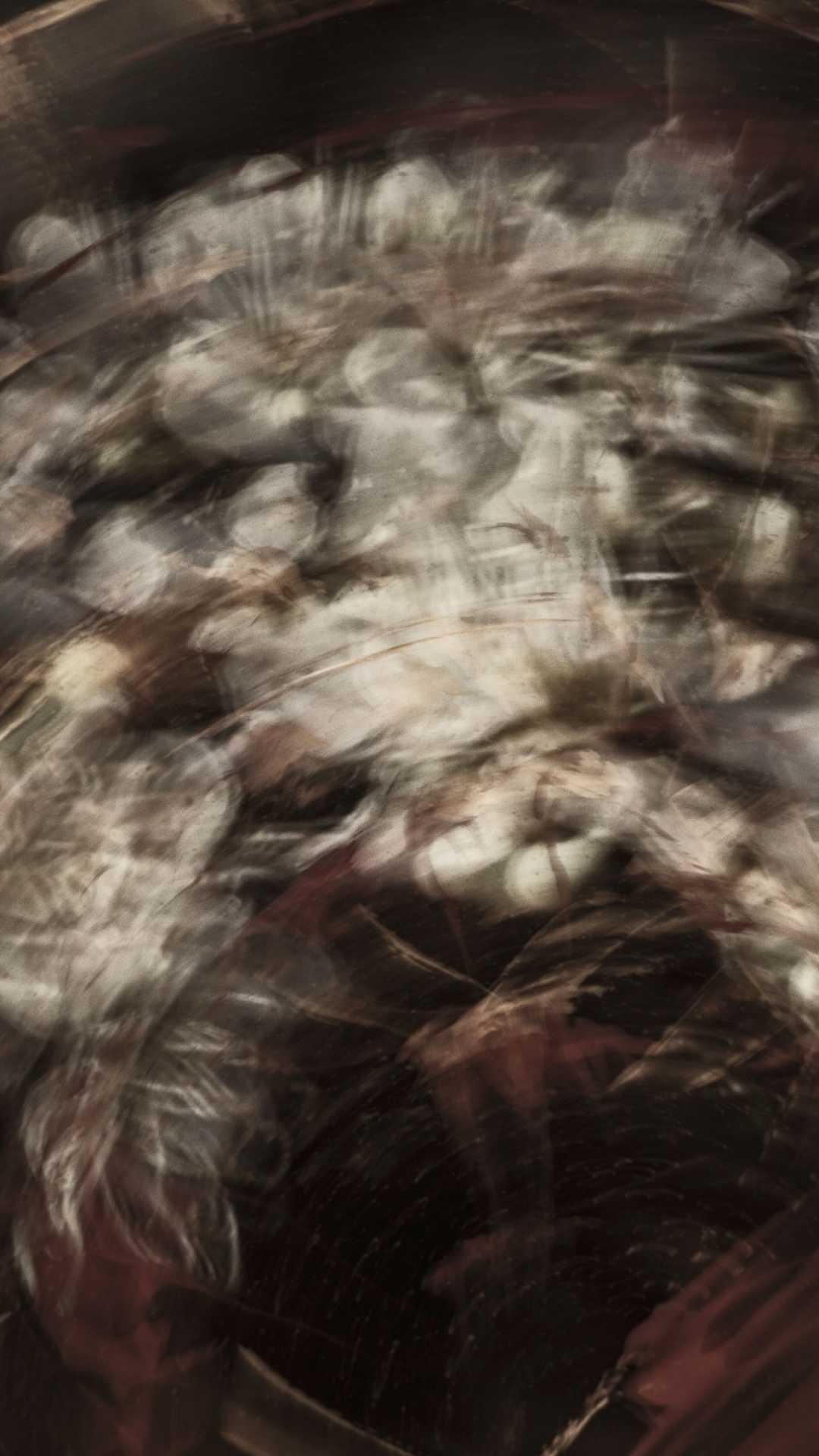 Обои арт, крупный план, перо, абстракция в разрешении 1080x1920