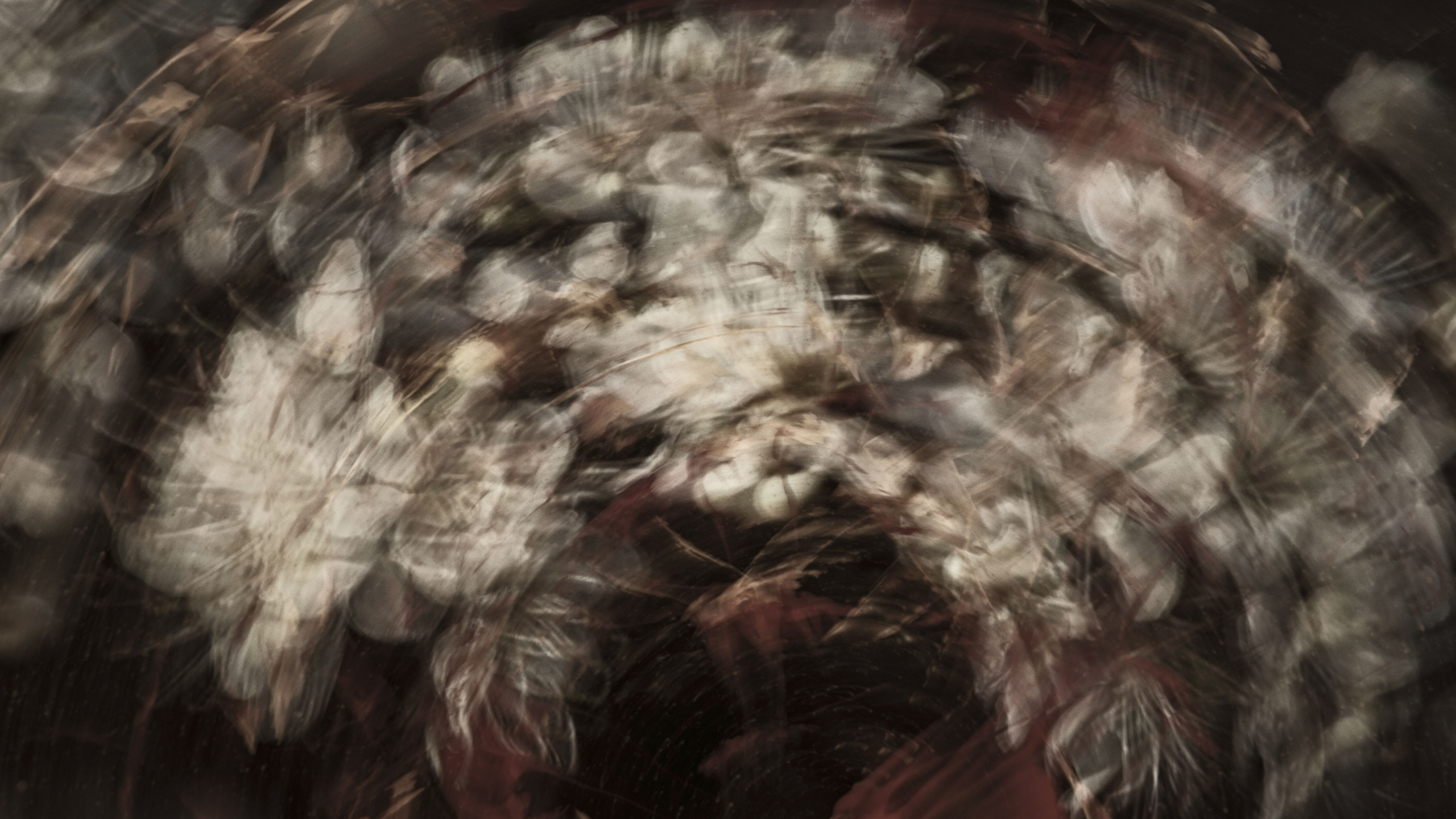Обои арт, крупный план, перо, абстракция в разрешении 2560x1440