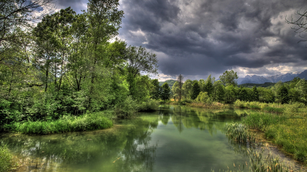 Обои природа, отражение, вода, растительность, дикая местность в разрешении 1280x720