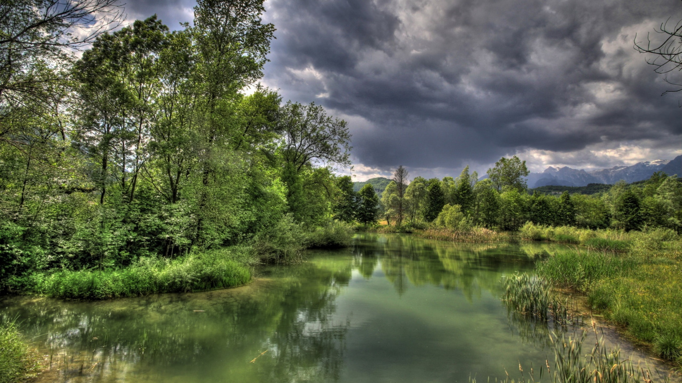 Обои природа, отражение, вода, растительность, дикая местность в разрешении 1366x768