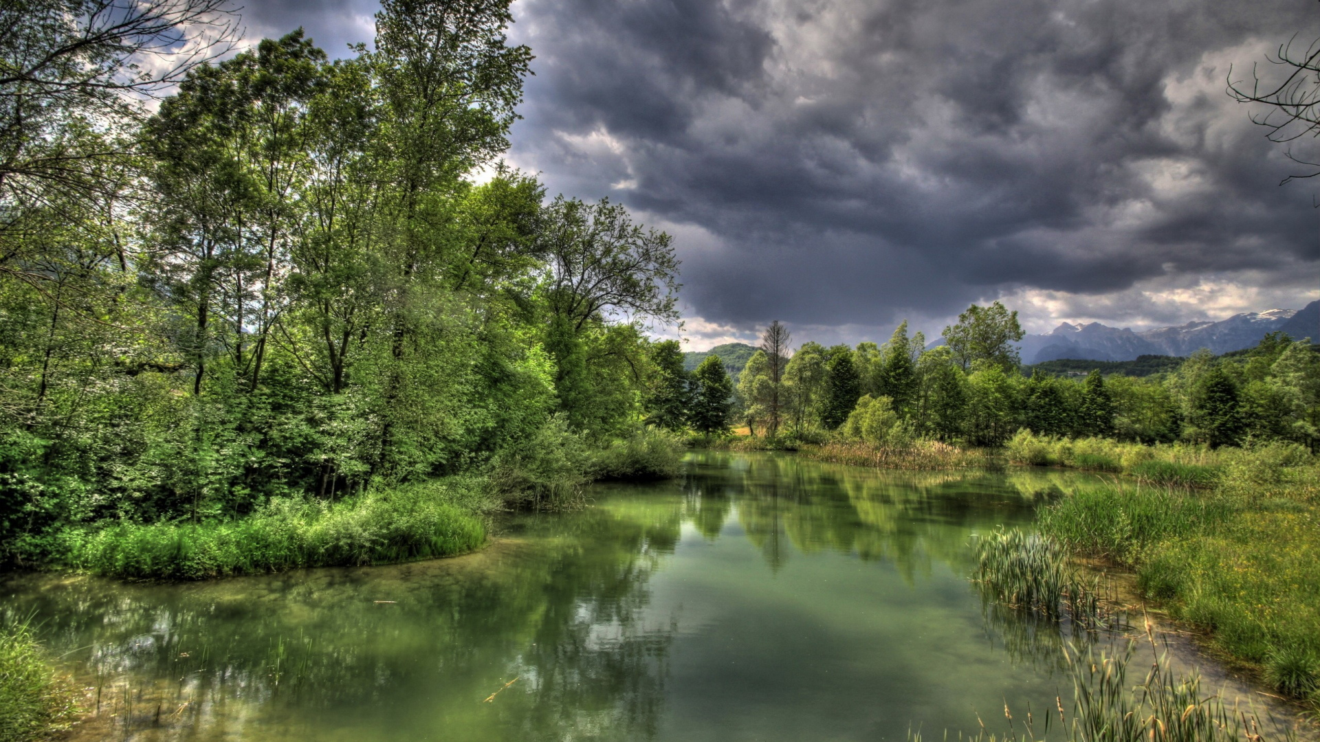 Обои природа, отражение, вода, растительность, дикая местность в разрешении 1920x1080