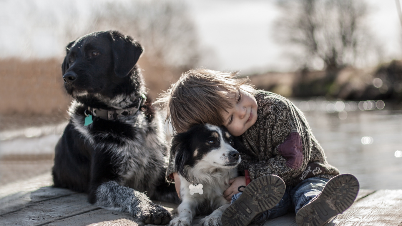 Обои пес, собака породы, коммуникация, животное, ребенок в разрешении 1366x768
