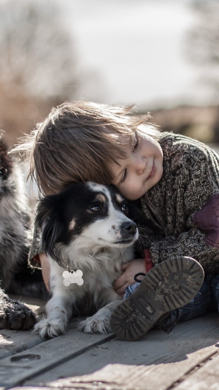Обои пес, собака породы, коммуникация, животное, ребенок в разрешении 720x1280