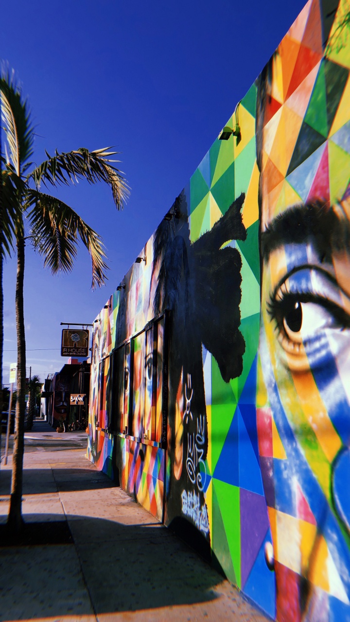 Обои Майами, дерево, туризм, наука, биология в разрешении 720x1280