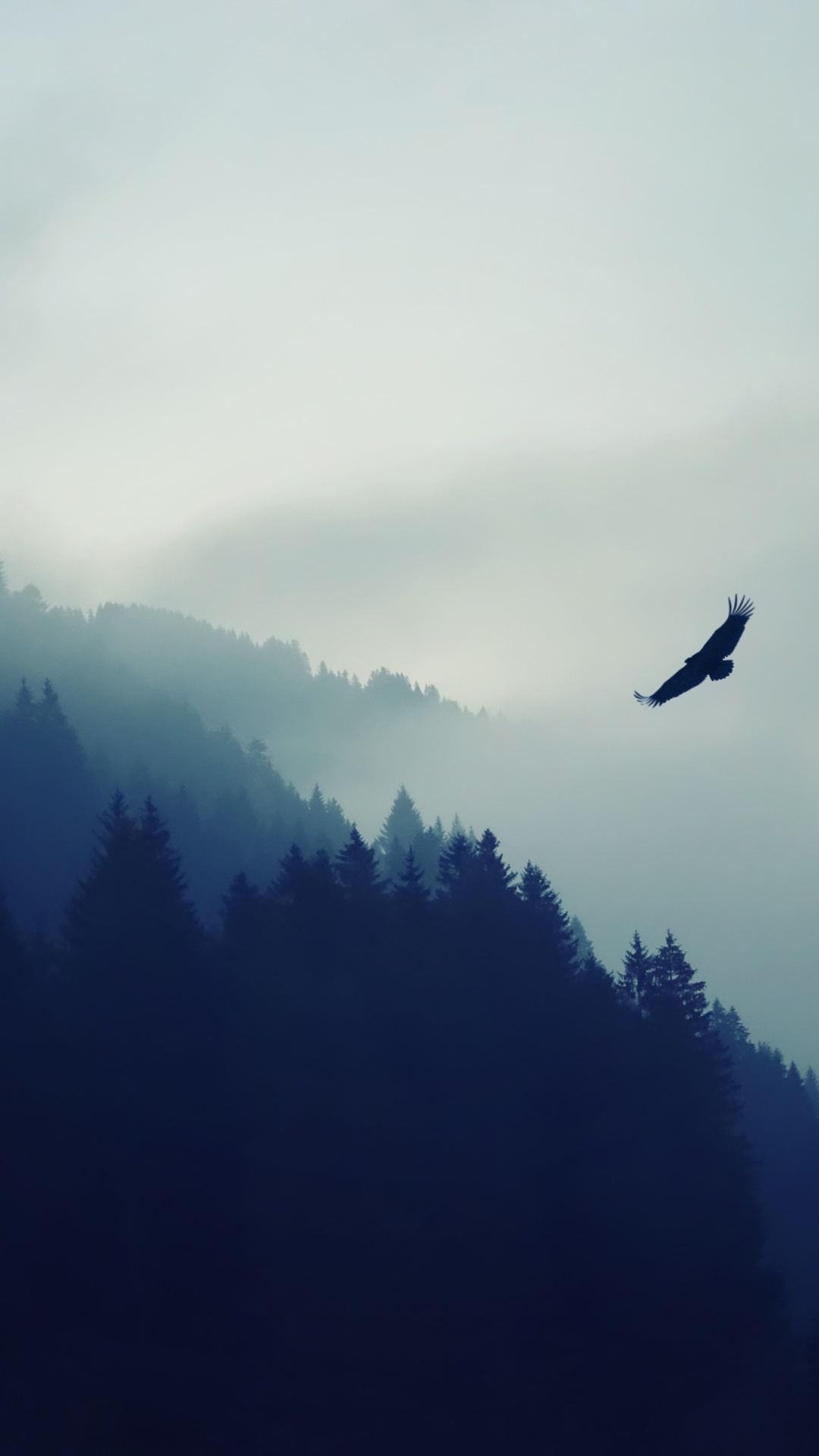 Обои планшет, облако, атмосфера, птица, гора в разрешении 1080x1920