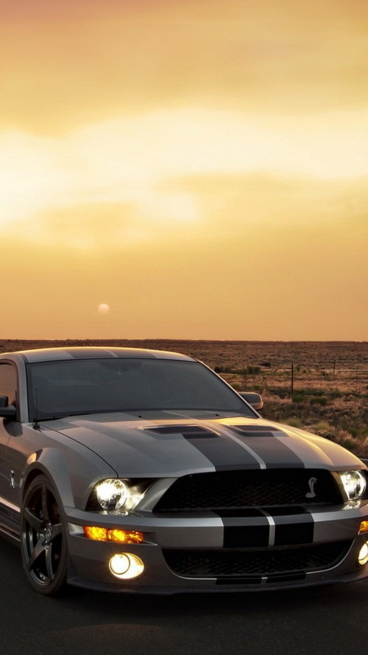 Обои Форд Мустанг, Шелби Мустанг, авто, ford, спорткар в разрешении 750x1334