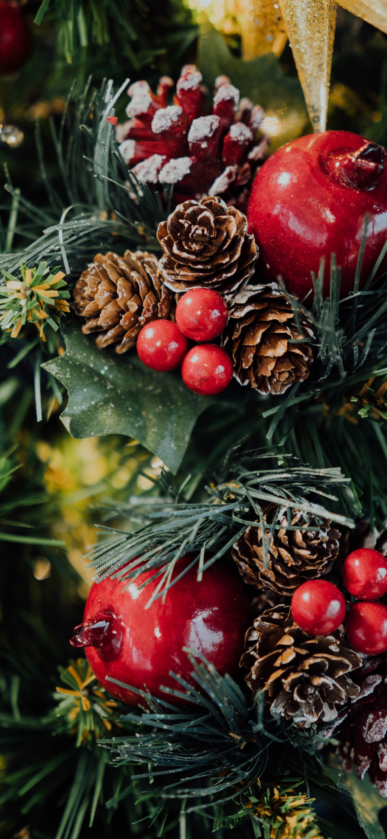 Обои Рождественские украшения, рождественский орнамент, Рождественский день, древесные растения, елка в разрешении 1242x2688