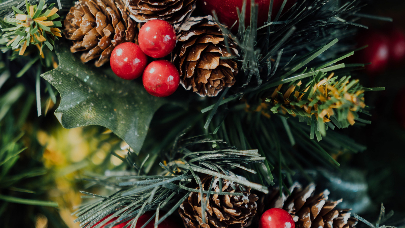 Обои Рождественские украшения, рождественский орнамент, Рождественский день, древесные растения, елка в разрешении 1366x768