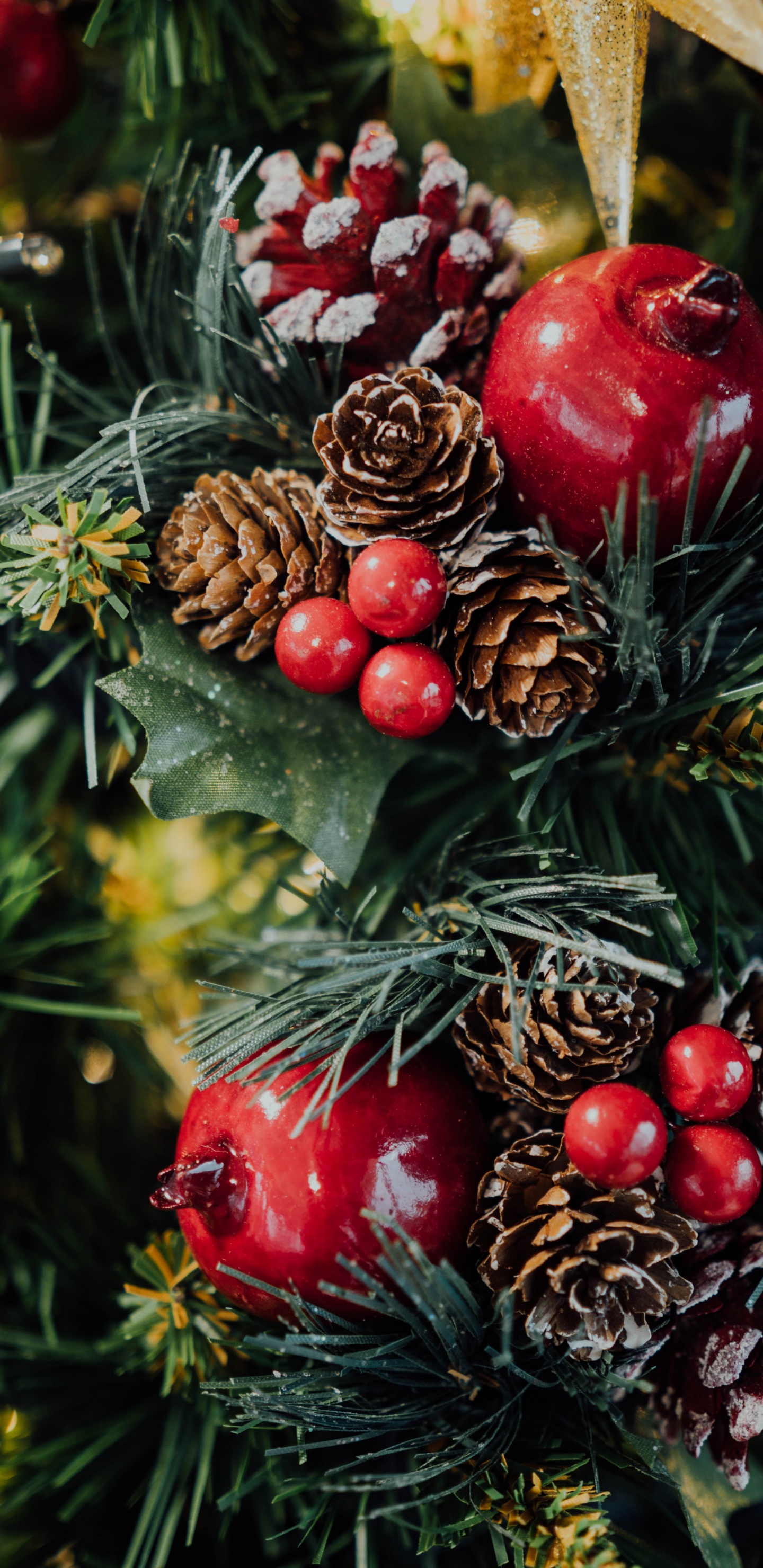 Обои Рождественские украшения, рождественский орнамент, Рождественский день, древесные растения, елка в разрешении 1440x2960