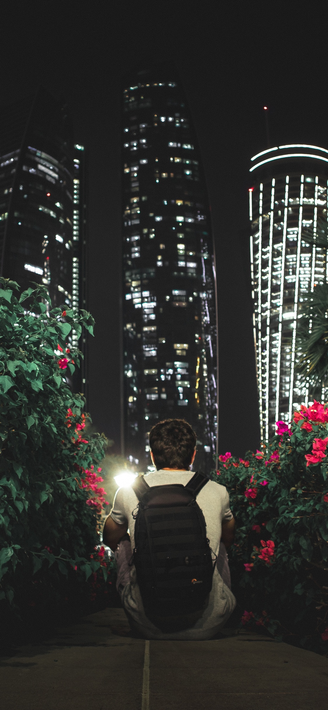 Обои растение, архитектура, полночь, ландшафтное освещение, освещение в разрешении 1125x2436