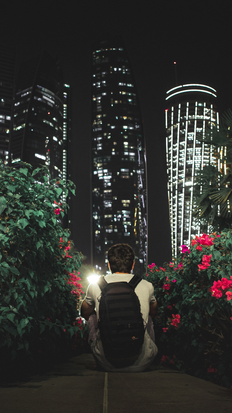 Обои растение, архитектура, полночь, ландшафтное освещение, освещение в разрешении 750x1334