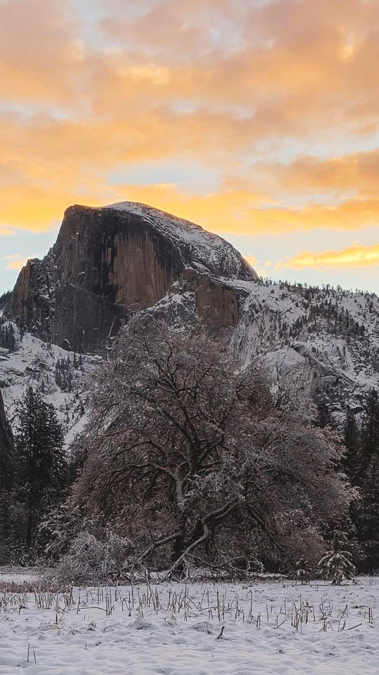 Обои национальный парк, природа, парк, дикая местность, гора в разрешении 750x1334