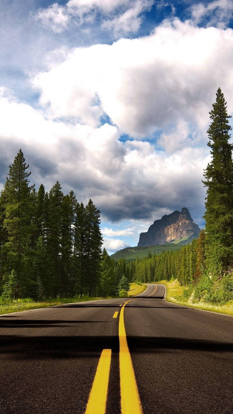 Обои дорога, природа, асфальт, дерево, магистраль в разрешении 750x1334