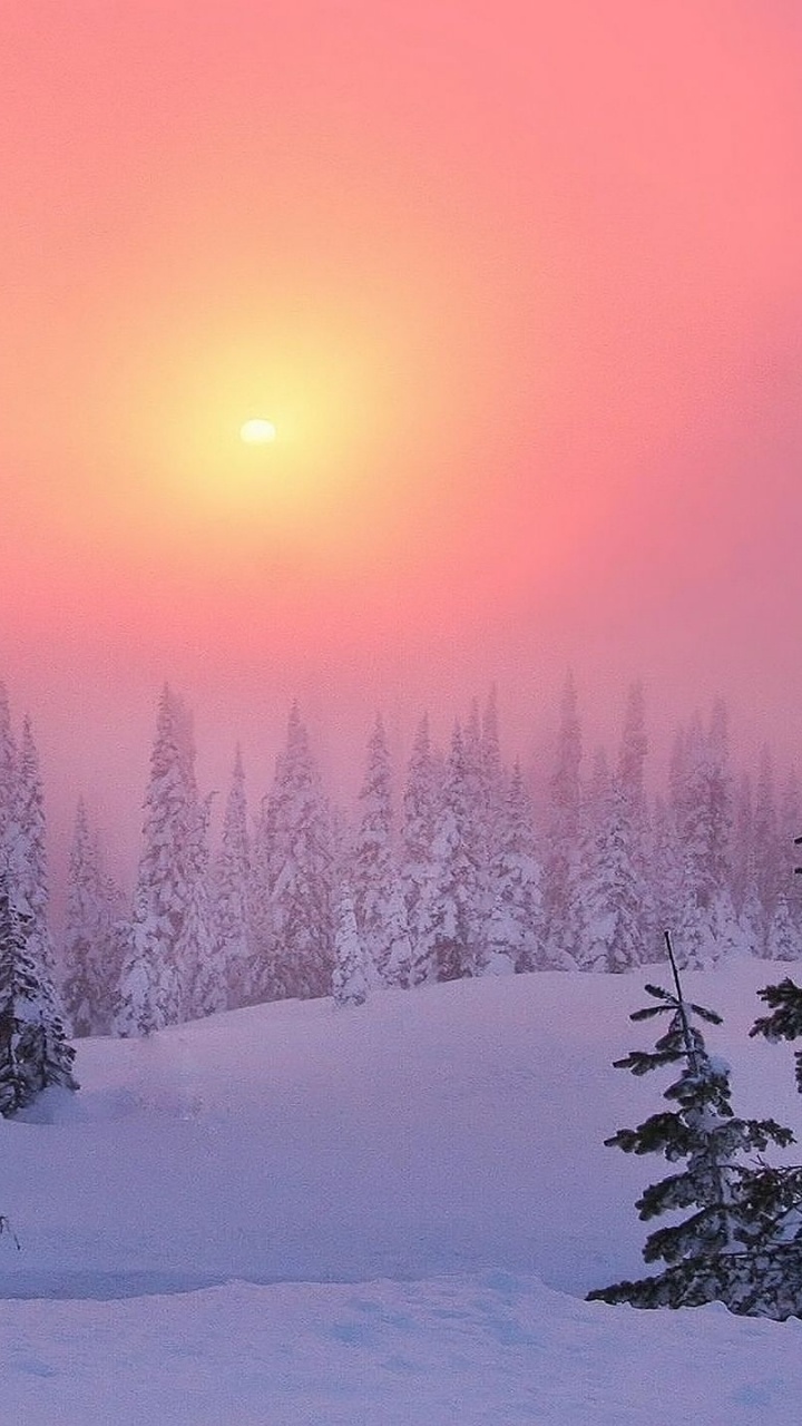 Обои снег, зима, дерево, природа, замораживание в разрешении 720x1280