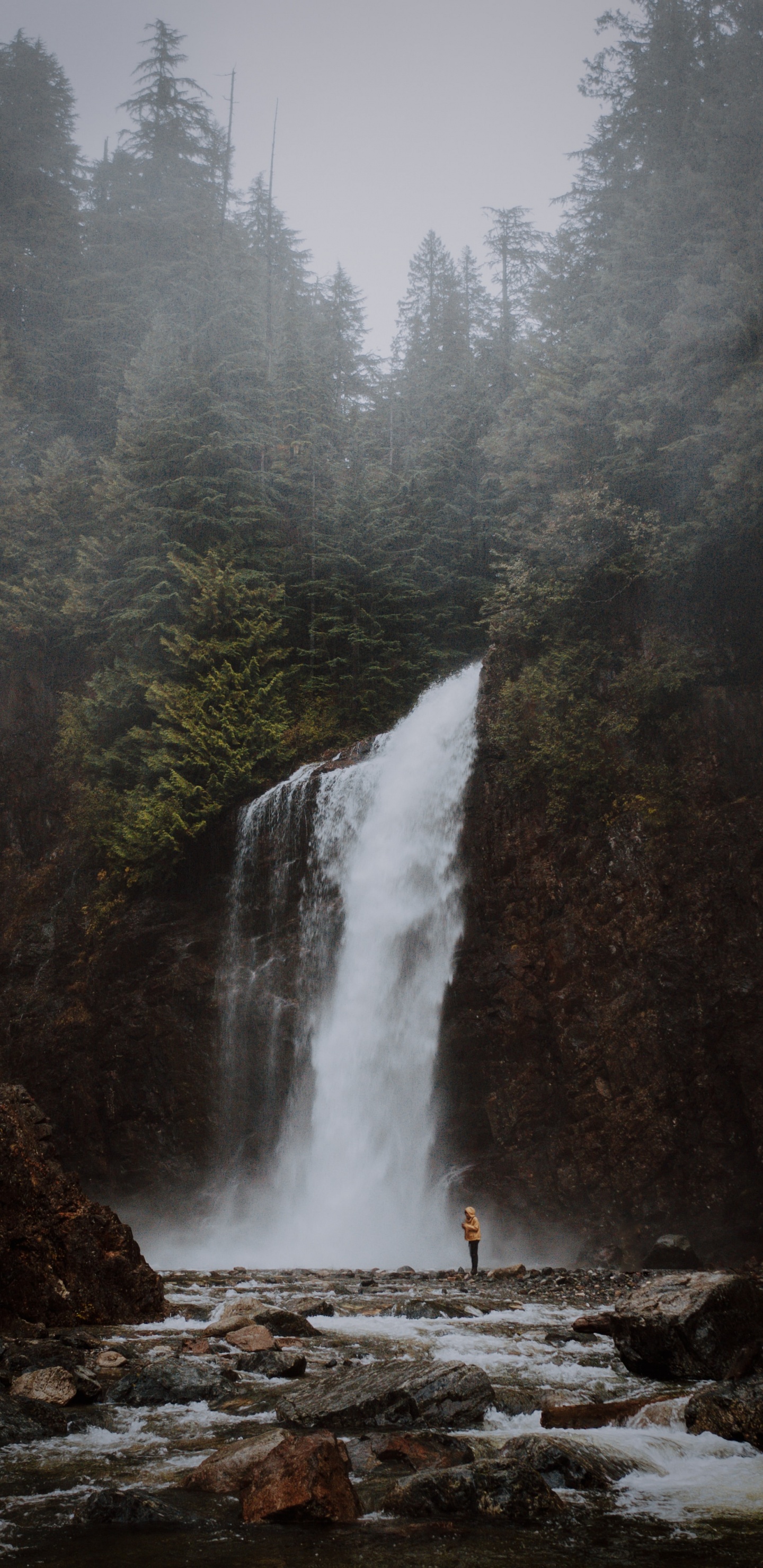Обои водоем, водопад, гидроресурсы, природа, вода в разрешении 1440x2960