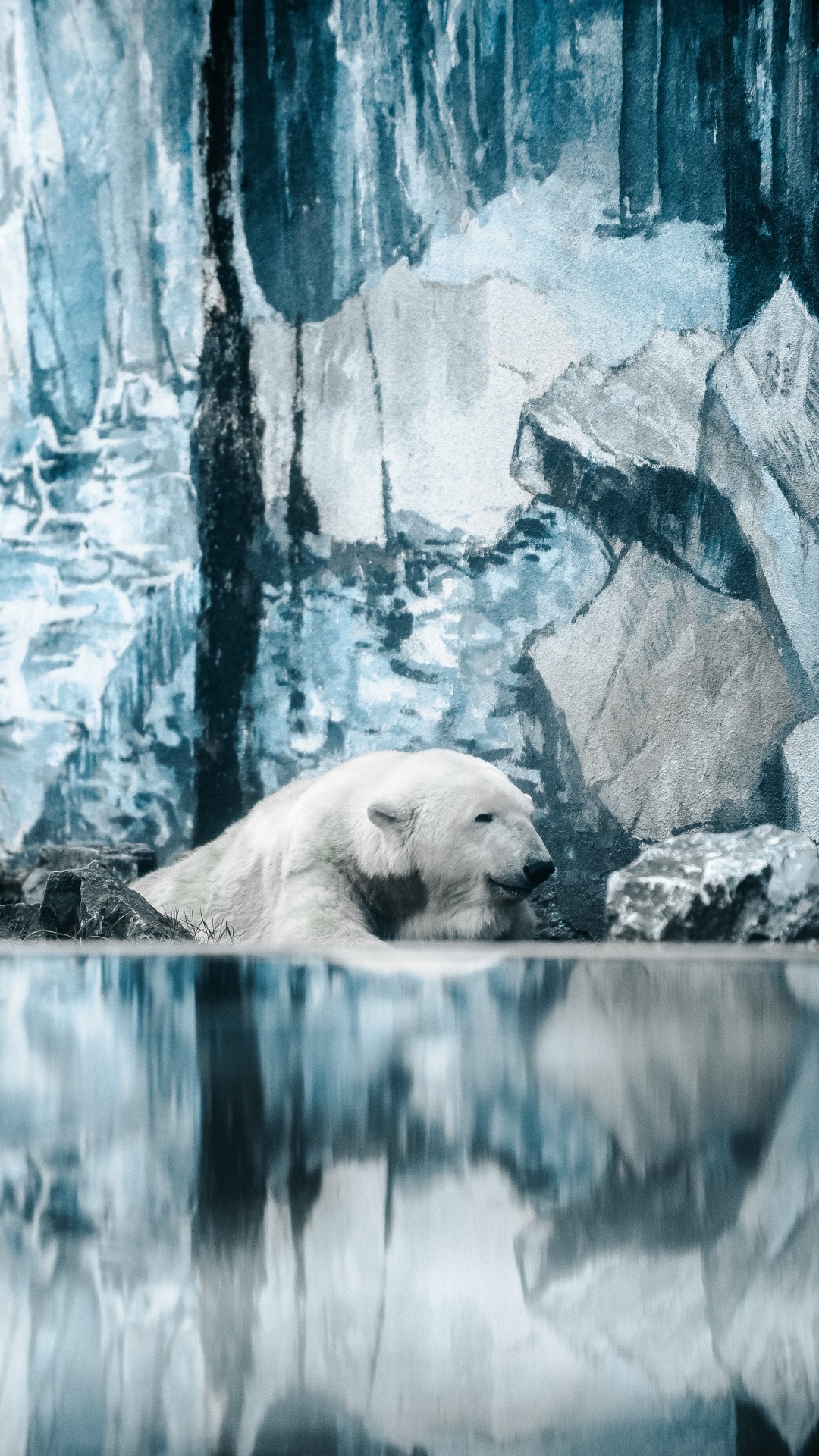 Обои белый медведь, медведь, Арктика, полярные льды, адаптация в разрешении 1080x1920
