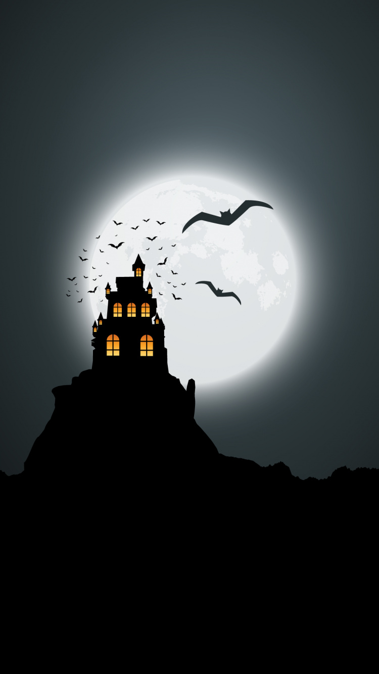 Обои атмосфера, птица, луна, полумесяц, сумрак в разрешении 750x1334