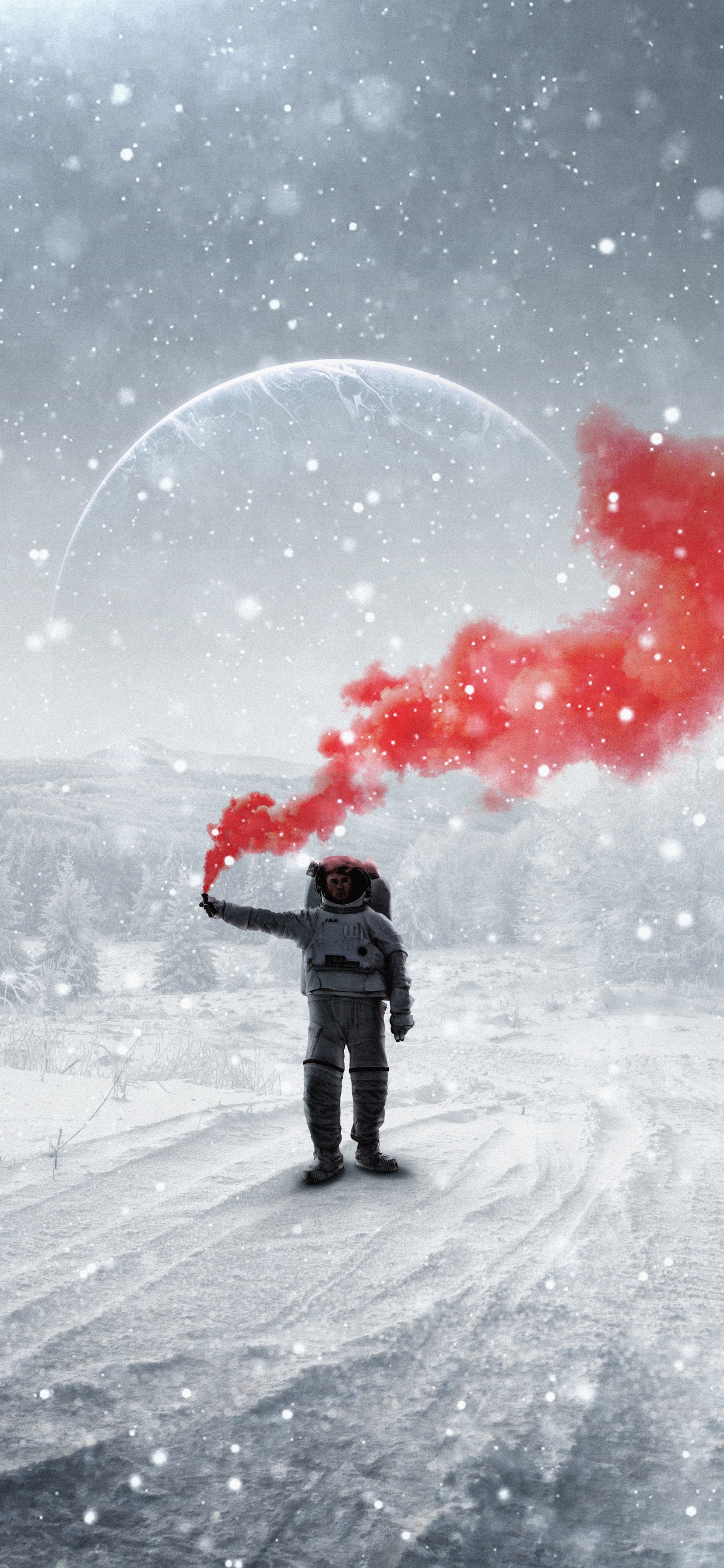 Обои снег, Люди в природе, зонтик, замораживание, растение в разрешении 1242x2688