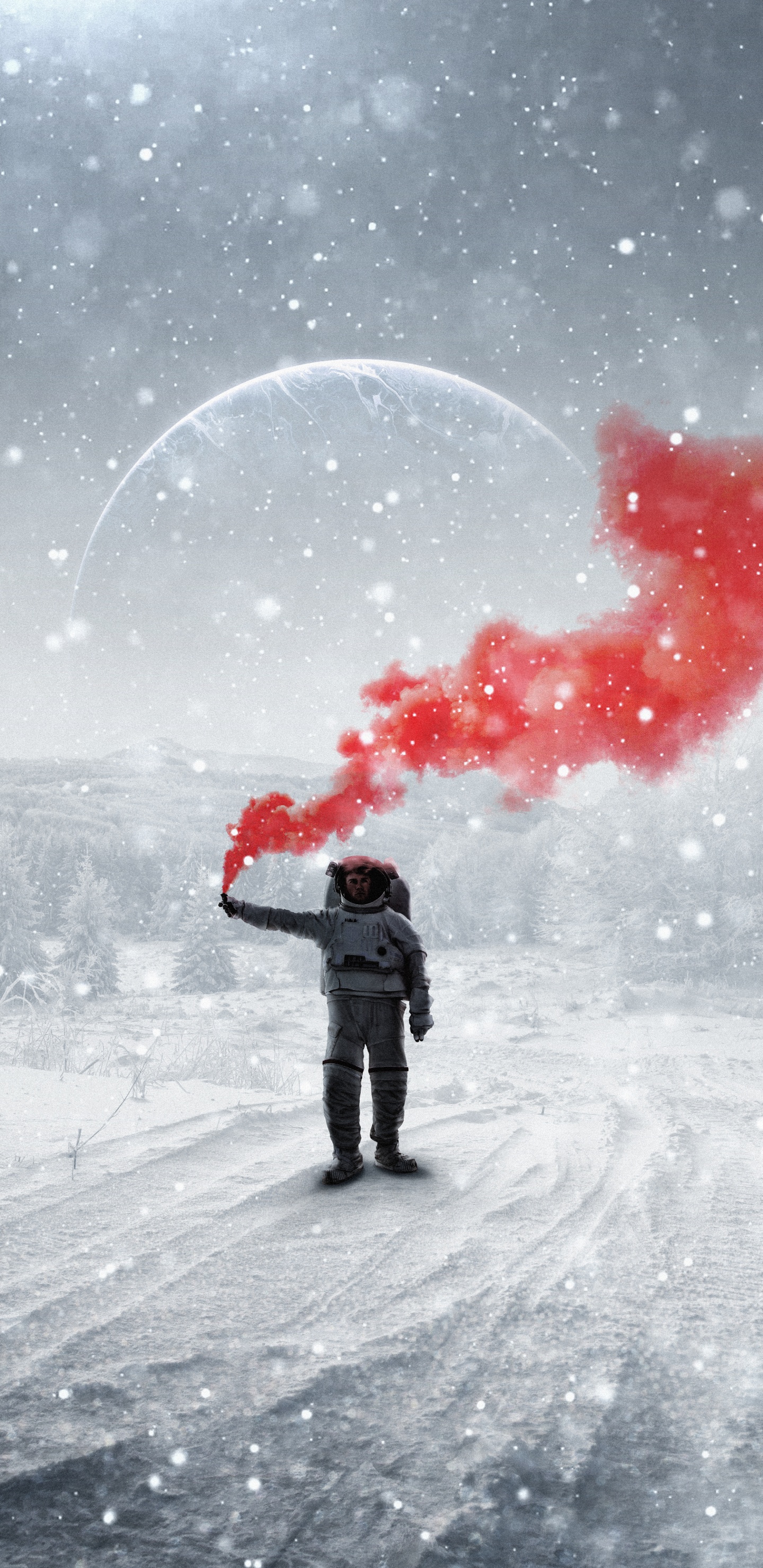 Обои снег, Люди в природе, зонтик, замораживание, растение в разрешении 1440x2960