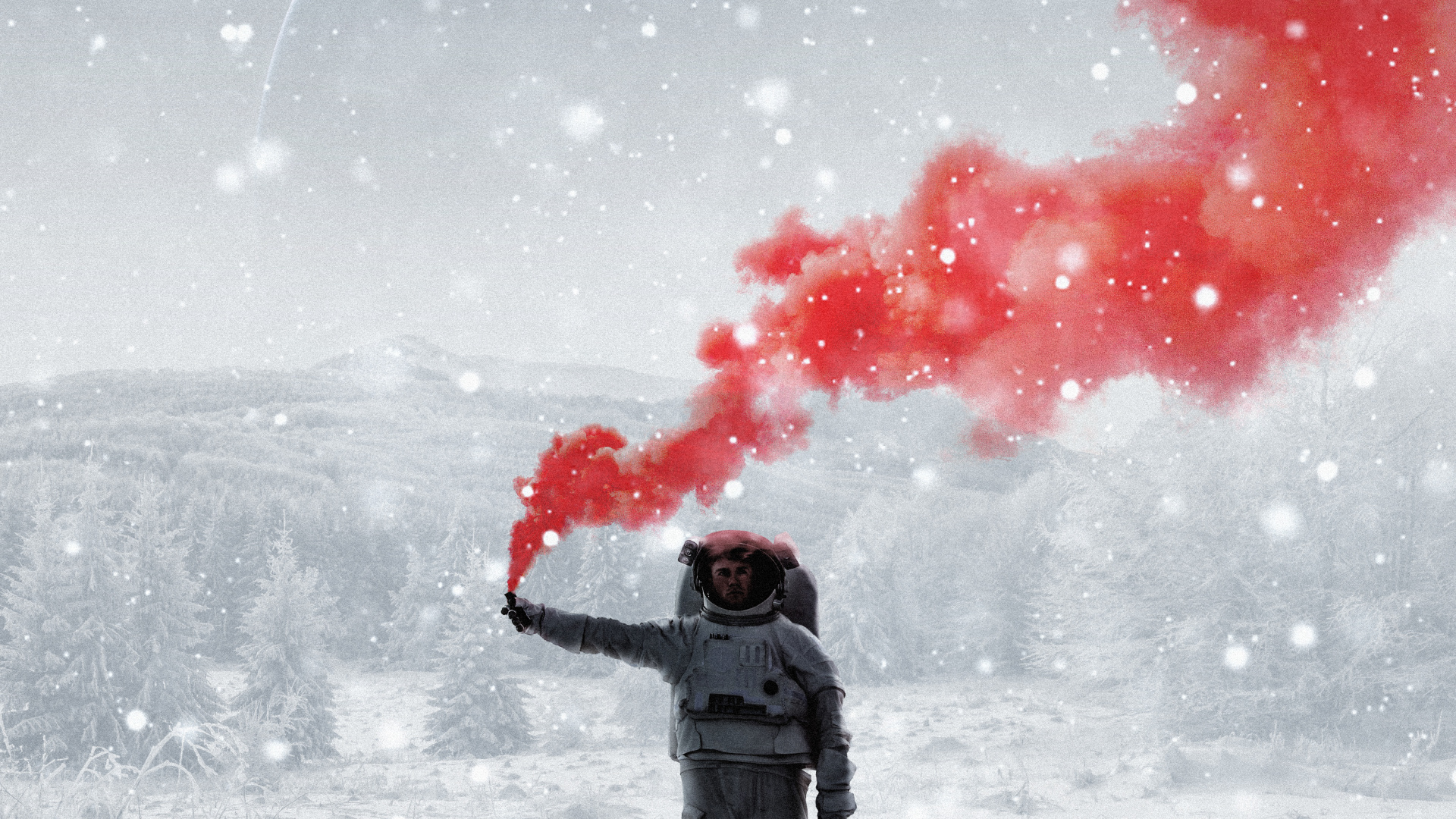 Обои снег, Люди в природе, зонтик, замораживание, растение в разрешении 1920x1080