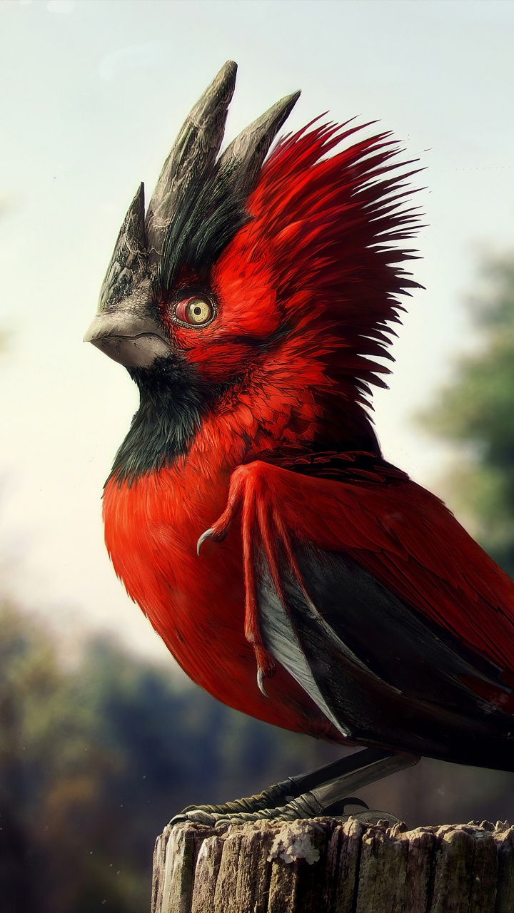 Обои Ведьмак 3 дикая охота, Гвент Ведьмак Карточная Игра, Киберпанк 2077, Ведьмак, cd projekt в разрешении 720x1280