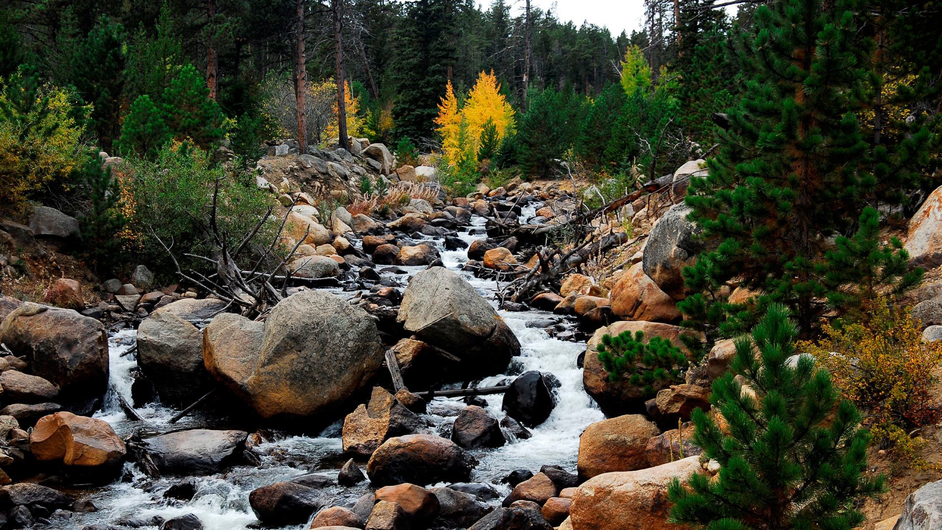Обои поток, природа, рок, водоток, растительность в разрешении 1920x1080