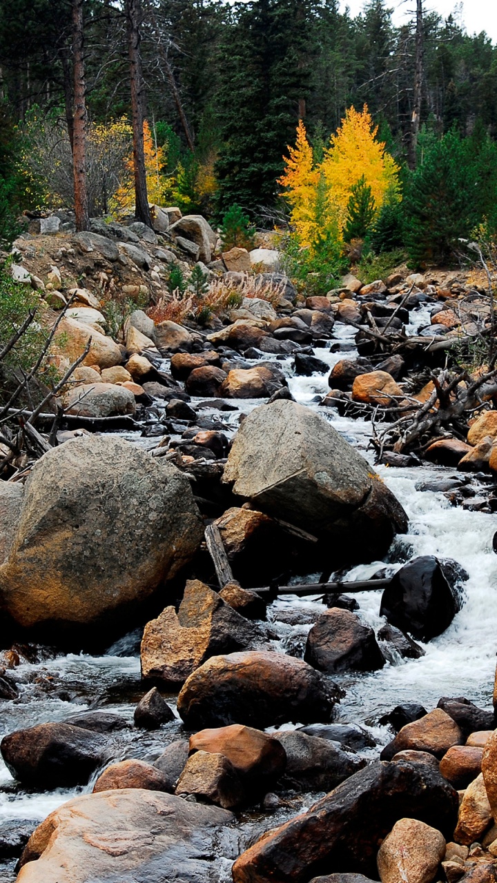 Обои поток, природа, рок, водоток, растительность в разрешении 720x1280