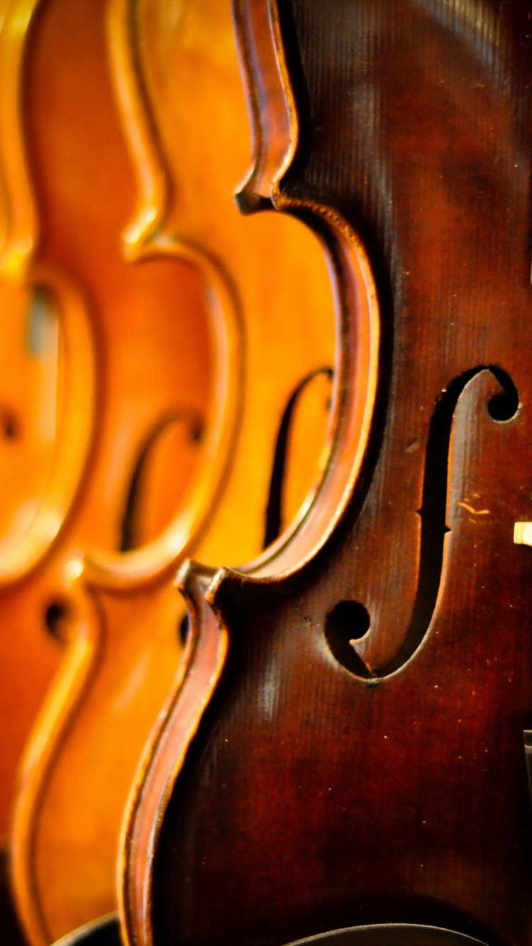 Обои бас скрипка, скрипка, контрабас, виолоне, альт в разрешении 750x1334