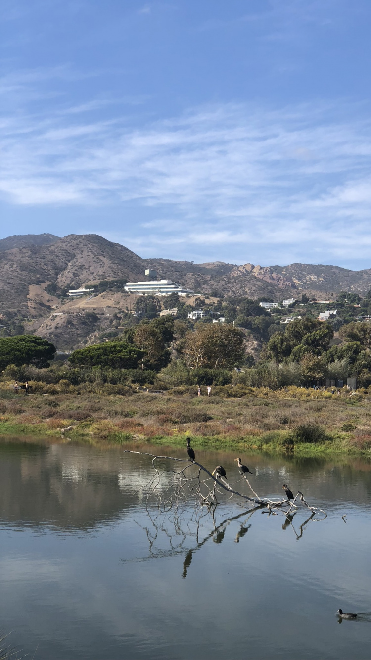 Обои отражение, облако, гидроресурсы, природный ландшафт, вода в разрешении 750x1334