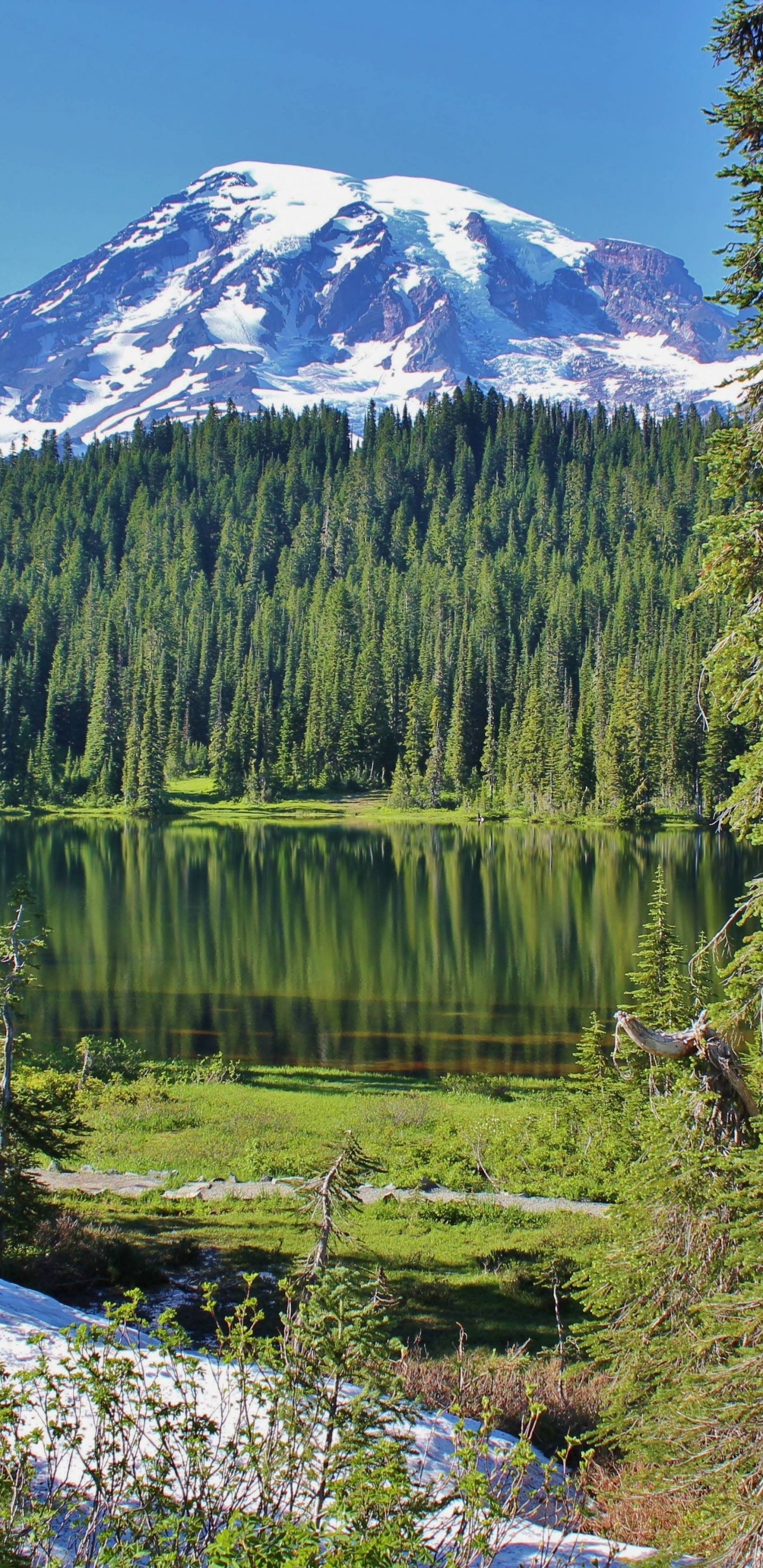 Обои гора, дикая местность, природа, озеро, лес в разрешении 1440x2960