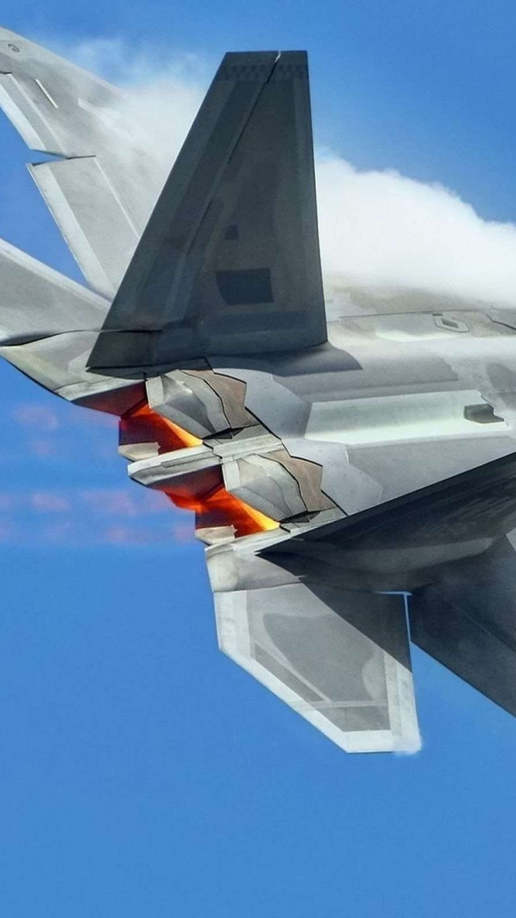 Обои самолет стелс, самолеты, самолет, военный самолет, истребительная авиация в разрешении 750x1334