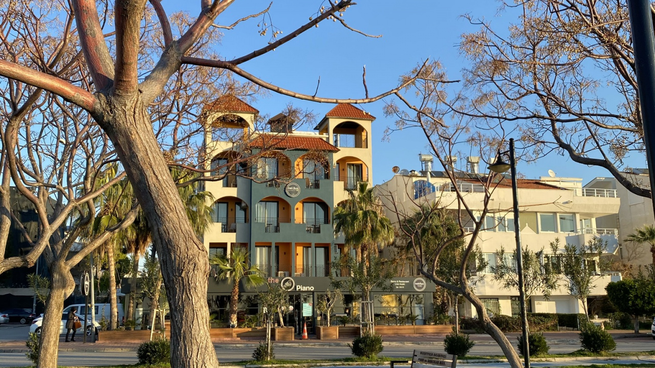 Обои дерево, растение, здание, дневное время, свойство в разрешении 1280x720