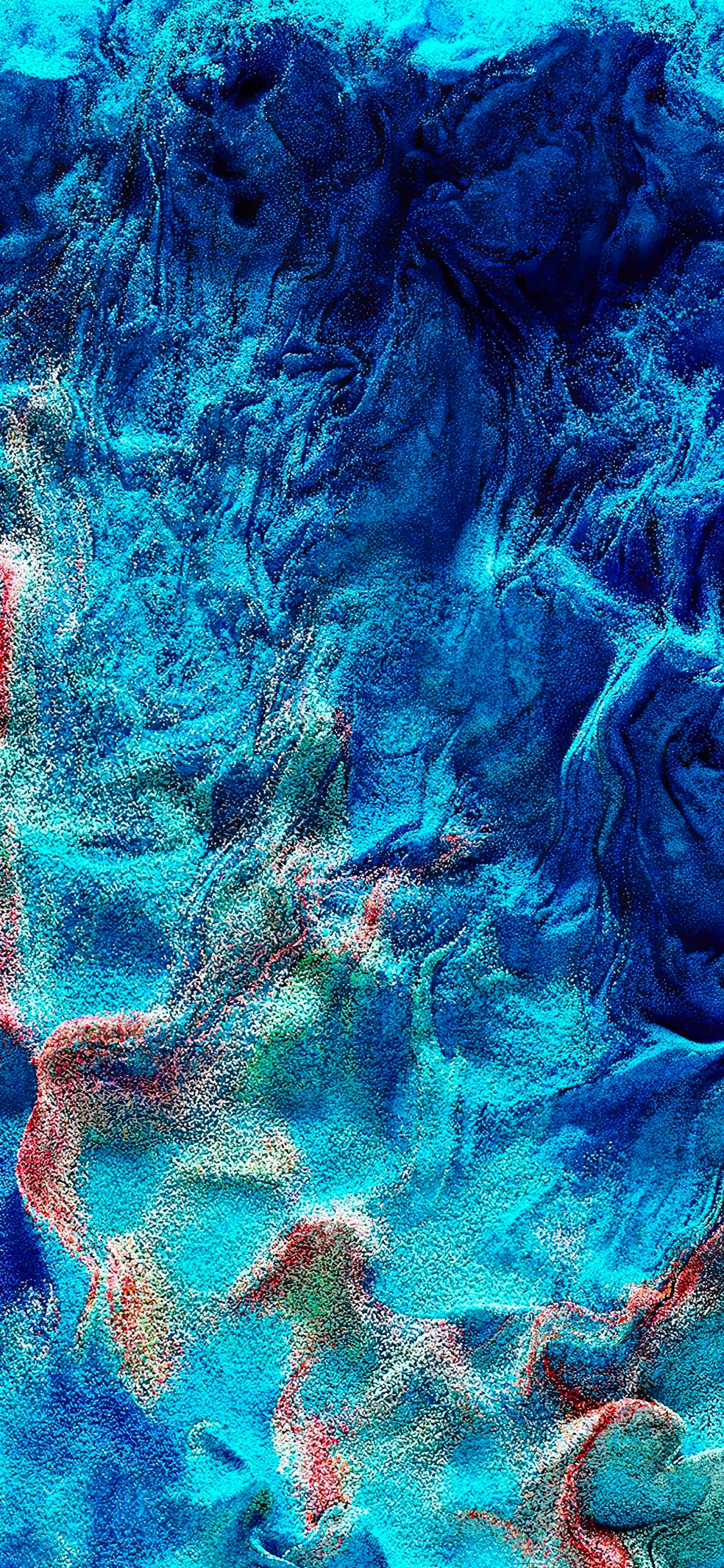 Обои вода, морская биология, лазурный, Аква, электрик в разрешении 1125x2436