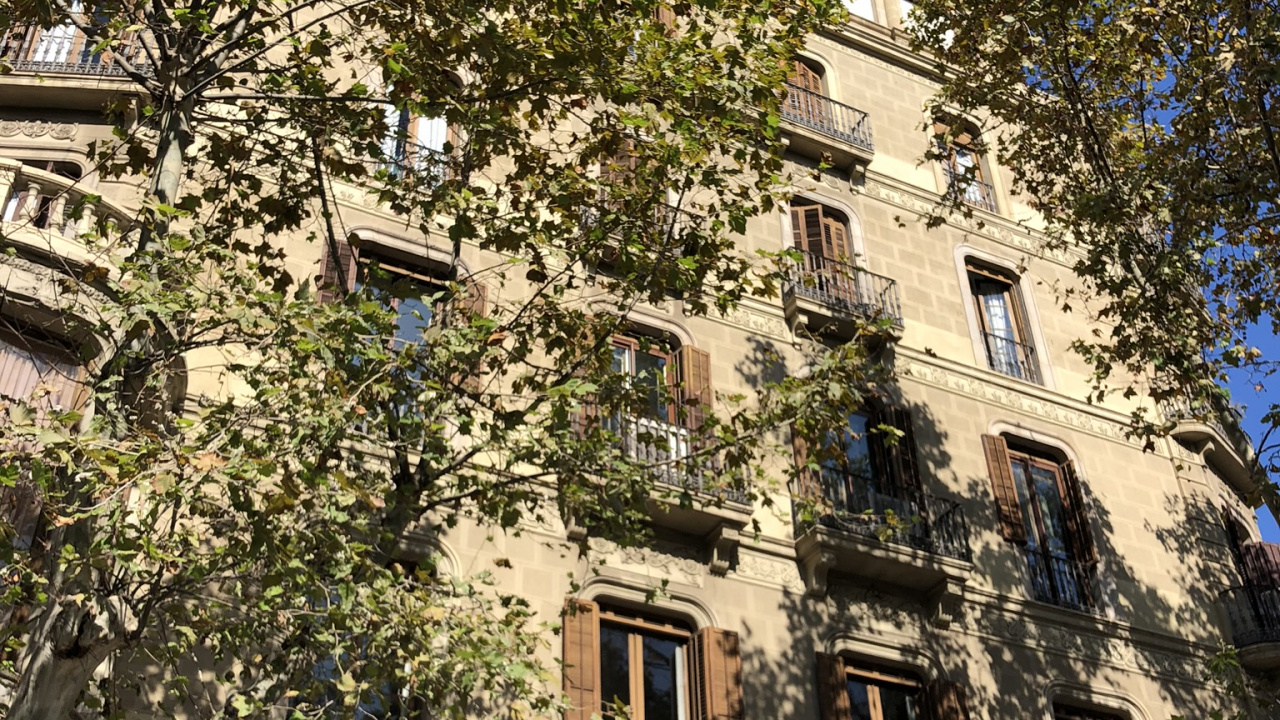 Обои Барселона, дерево, недвижимость, биология, фасад в разрешении 1280x720