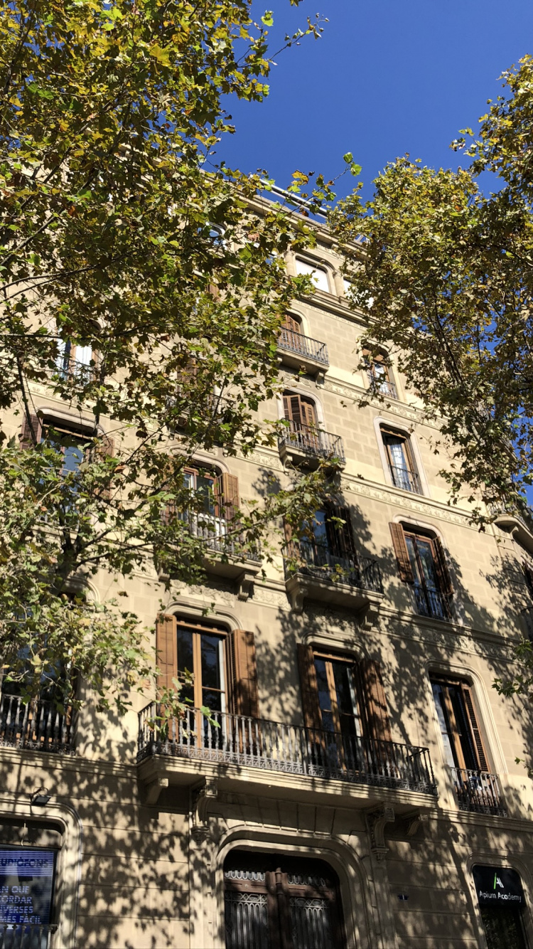 Обои Барселона, дерево, недвижимость, биология, фасад в разрешении 750x1334