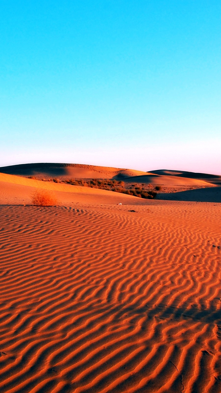 Обои пустыня, песок, эрг, эолийские рельефы, Дюна в разрешении 750x1334