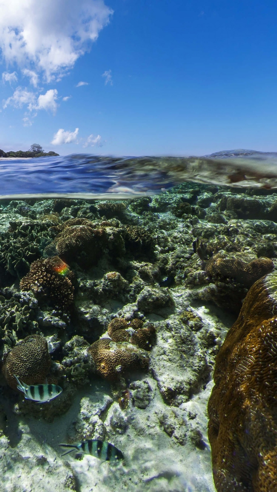 Обои android marshmallow, планшет, андроид, облако, вода в разрешении 1080x1920