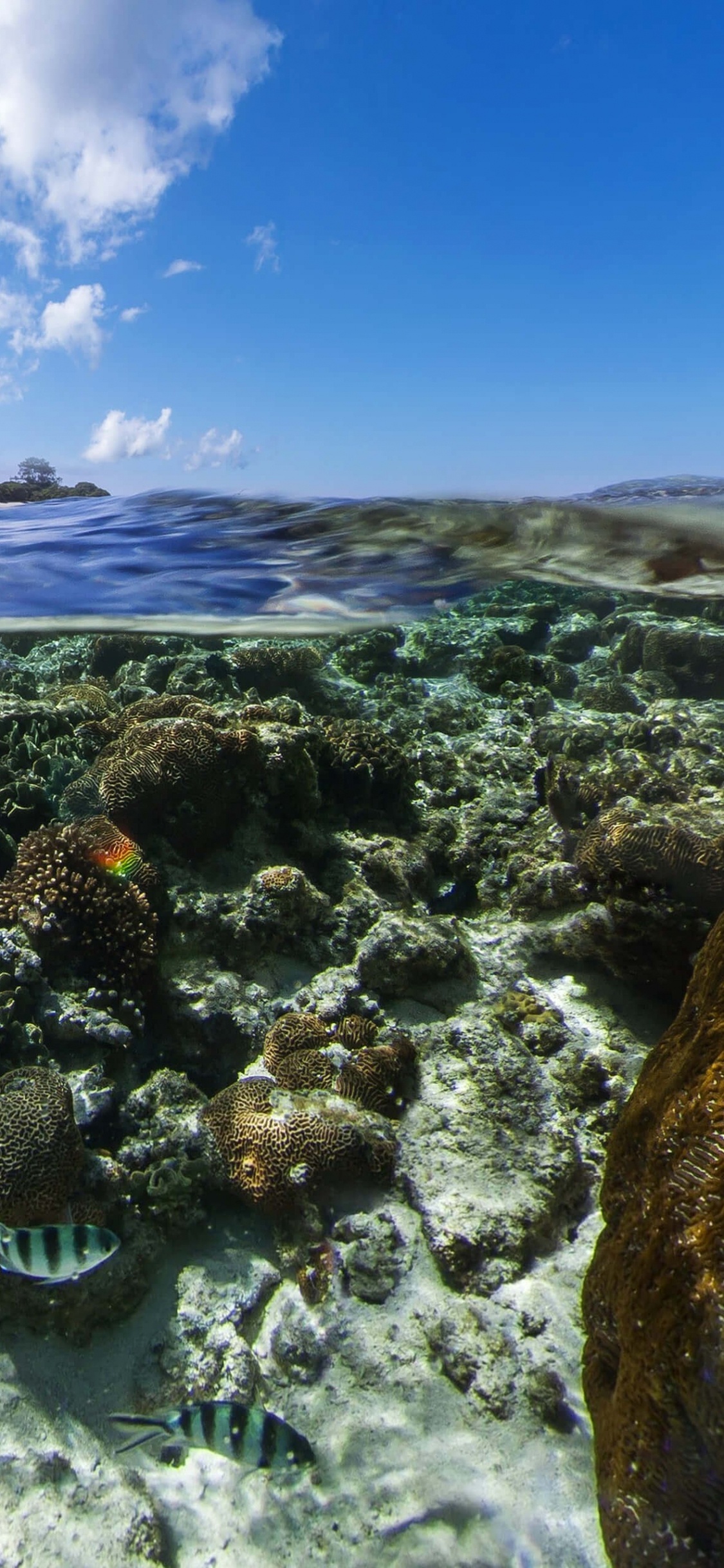 Обои android marshmallow, планшет, андроид, облако, вода в разрешении 1125x2436