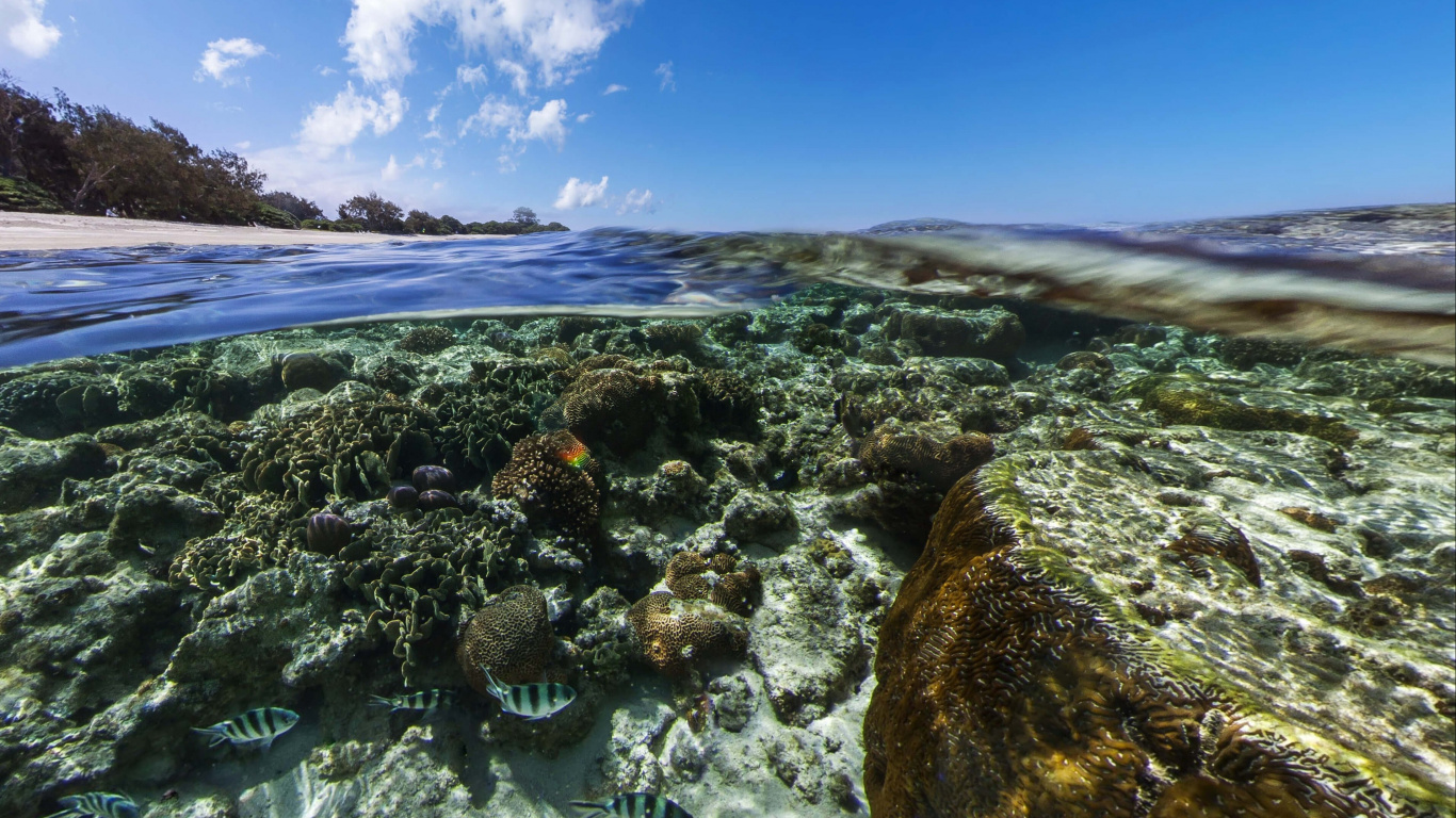 Обои android marshmallow, планшет, андроид, облако, вода в разрешении 1366x768