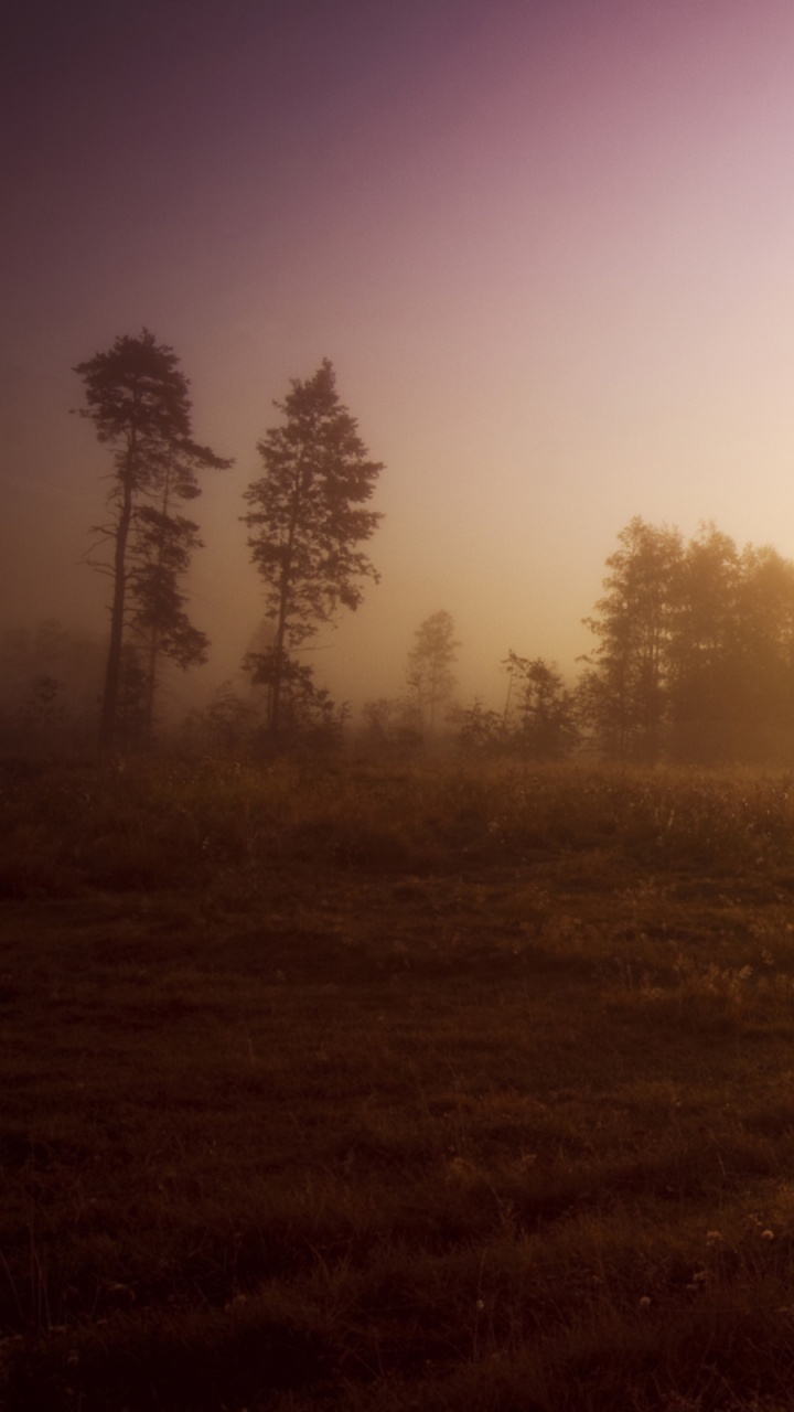 Обои красивая природа, природа, утро, атмосфера, восход солнца в разрешении 720x1280