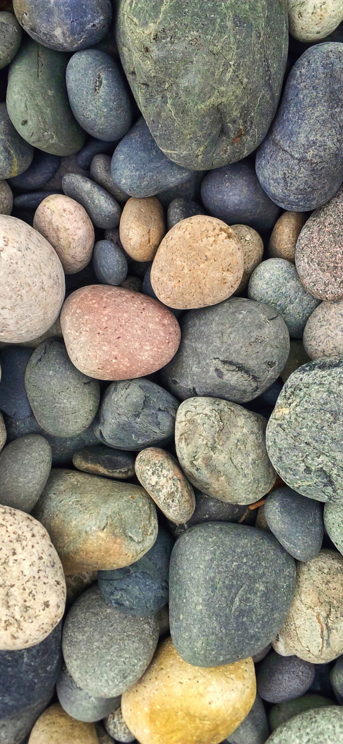 Обои рок, булыжник, гравий, материал, пластик в разрешении 1125x2436