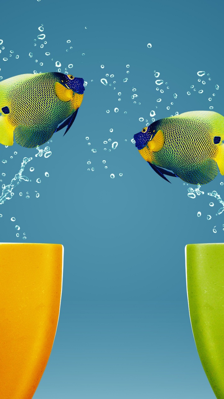 Обои Реклама, длиннохвостый попугай, клюв, рыбки, птица в разрешении 720x1280