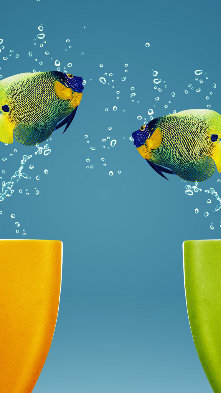 Обои Реклама, длиннохвостый попугай, клюв, рыбки, птица в разрешении 750x1334