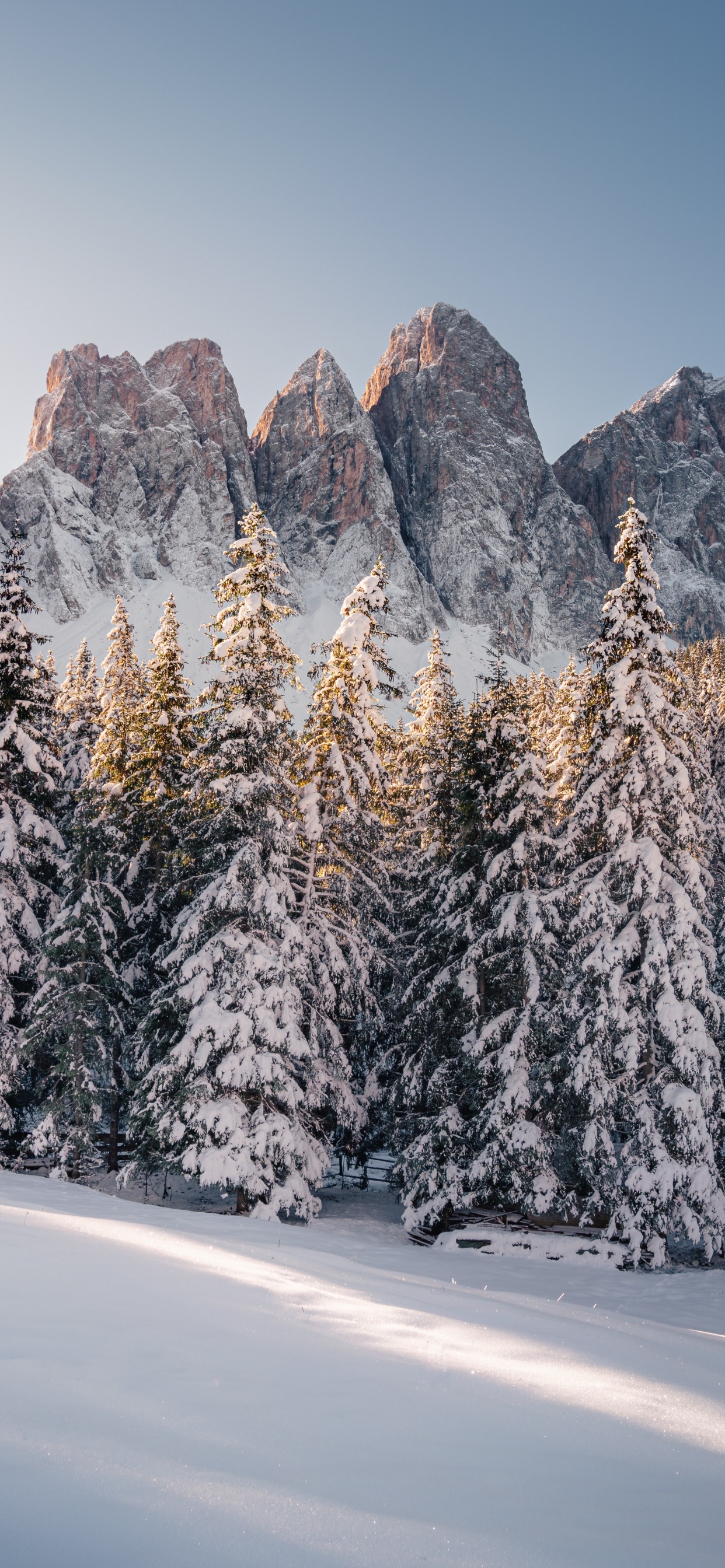 Обои зима, Альпы, Франция, Канада, гора в разрешении 1242x2688