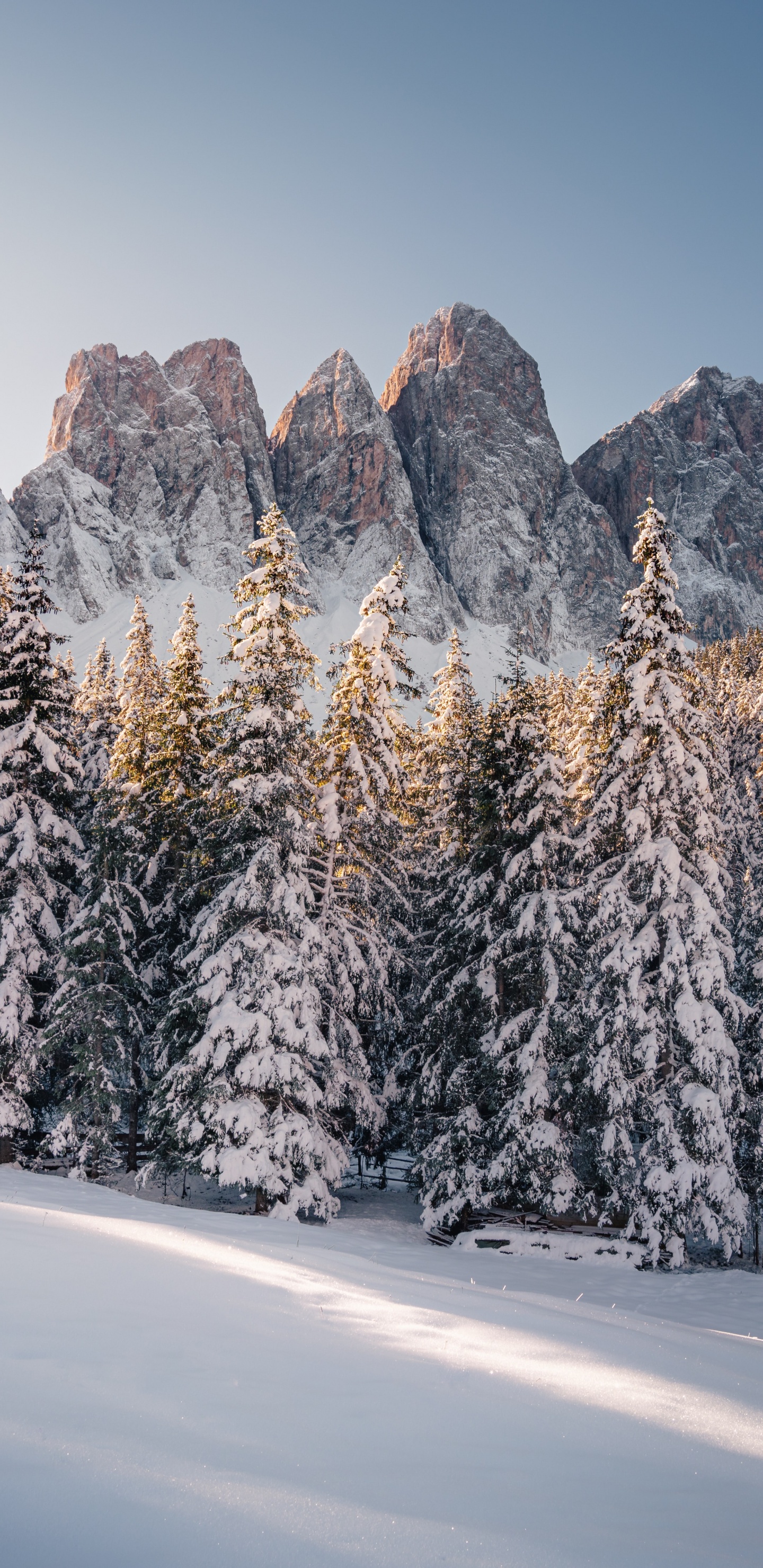 Обои зима, Альпы, Франция, Канада, гора в разрешении 1440x2960