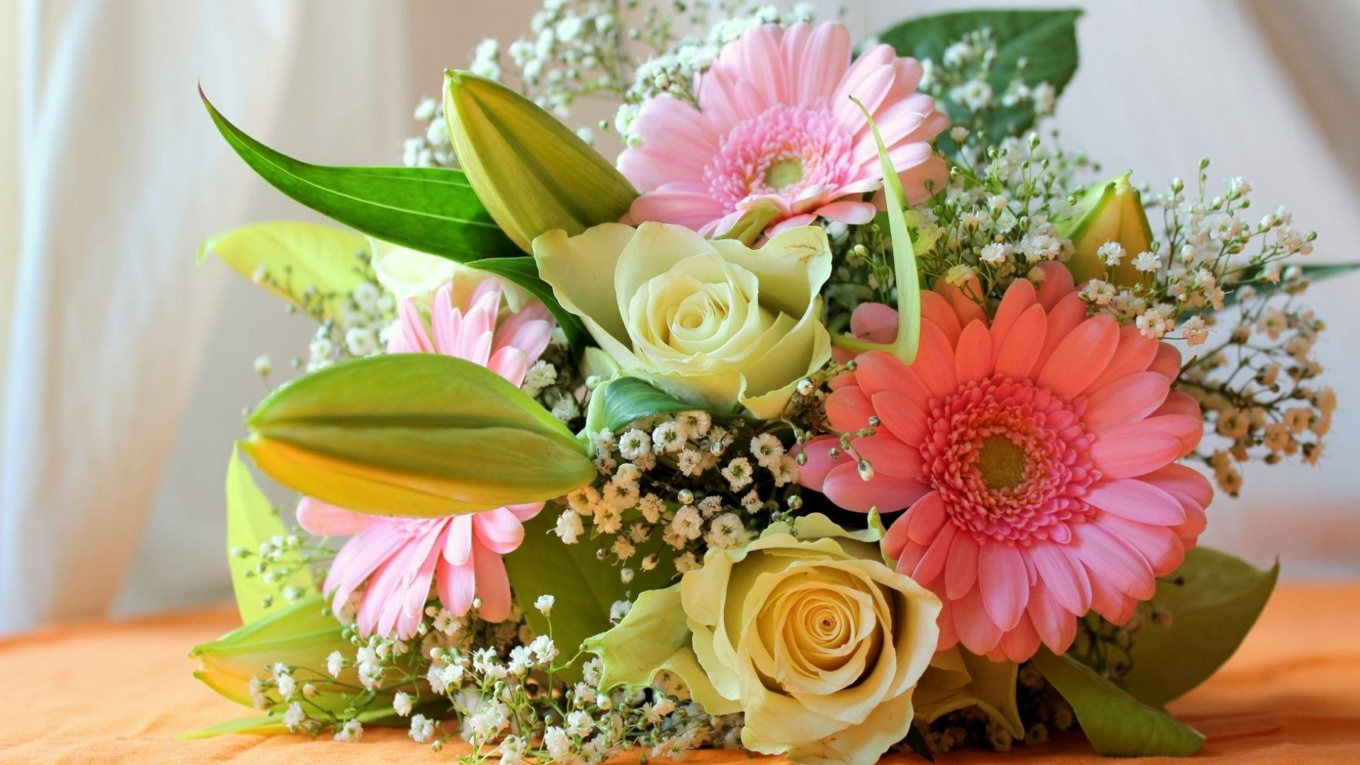 Обои цветочный букет, трансвааль Дейзи, Роза, флористики, флористика в разрешении 1920x1080