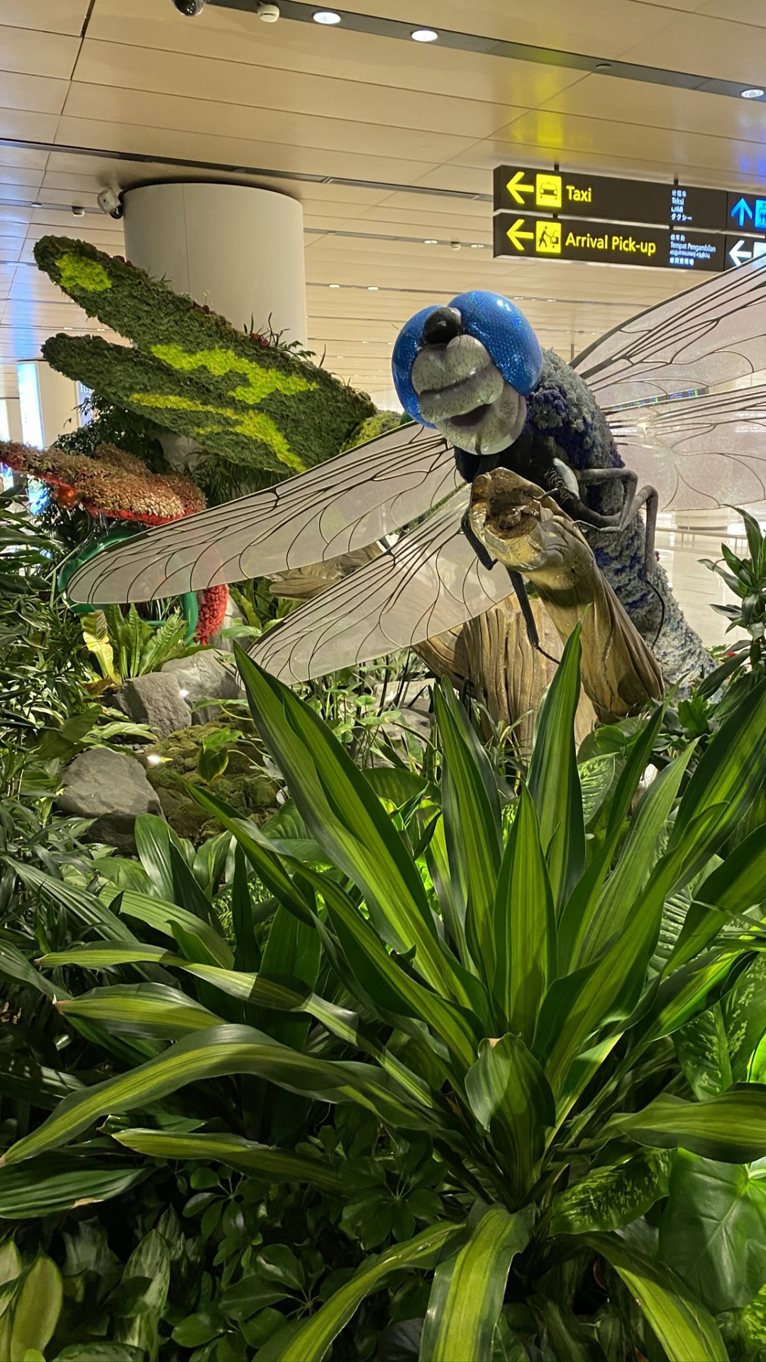 Обои дерево, лист, мажорель синий, рассада, биология в разрешении 1080x1920