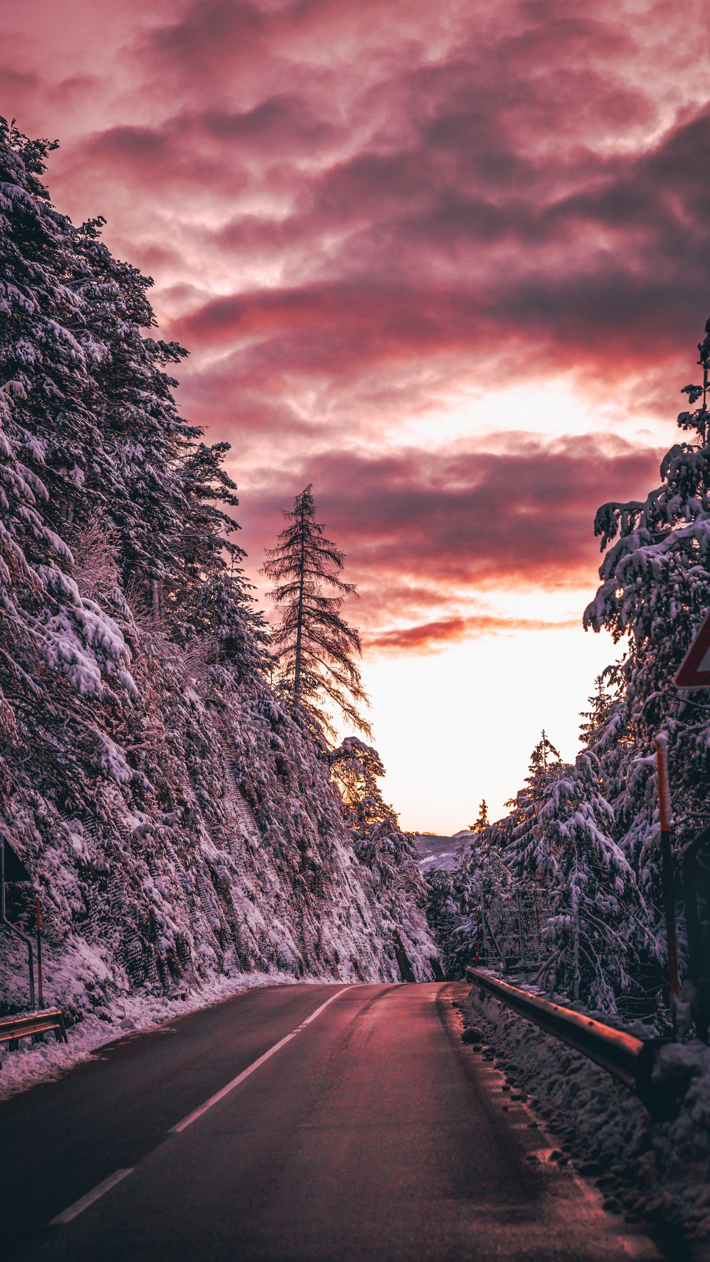 Обои утро, дорожное покрытие, облако, переулок, природный ландшафт в разрешении 1440x2560