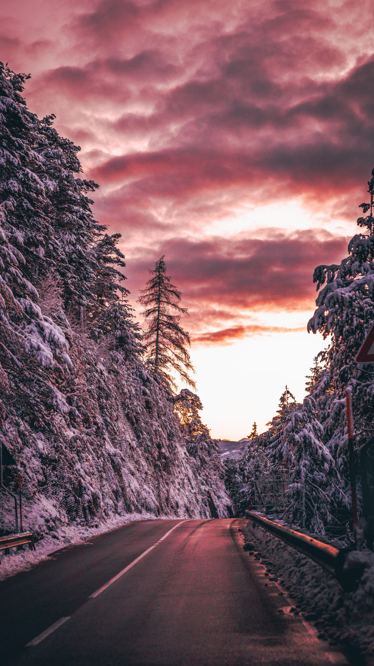Обои утро, дорожное покрытие, облако, переулок, природный ландшафт в разрешении 750x1334