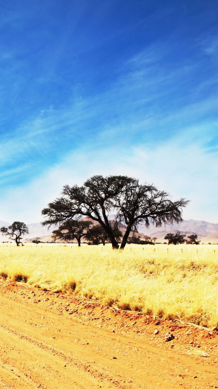 Обои дорога, облако, грунтовая дорога, горизонт, телевидение в разрешении 750x1334